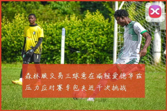 森林狼交易三球意在减轻爱德华兹压力应对赛季包夹近千次挑战