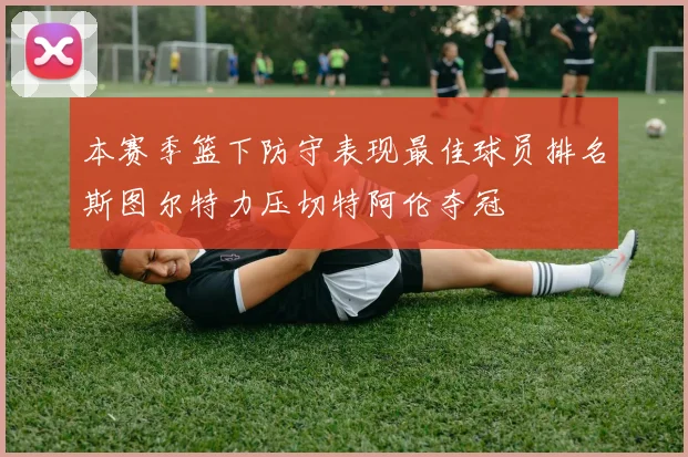 本赛季篮下防守表现最佳球员排名斯图尔特力压切特阿伦夺冠