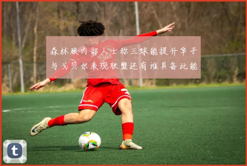 森林狼内部人士称三球能提升华子与戈贝尔表现联盟还有谁具备此能力