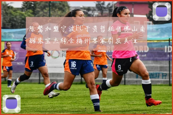 陈骜加盟宁波FC于贵哲租借佛山南狮朱宝杰转会梅州客家引发关注