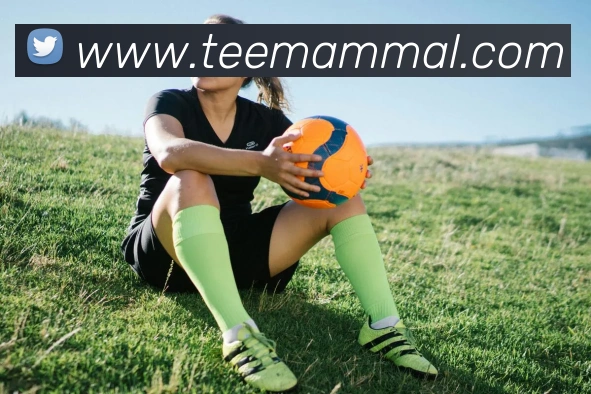 App 展示图